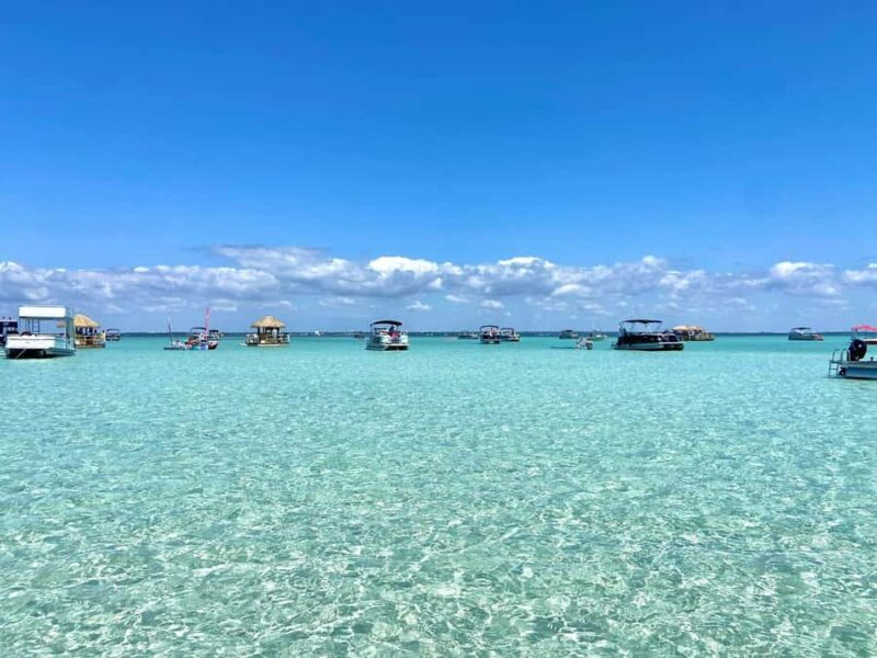Destin: Crab Island Explorer Boat Tour with Paddleboards - The Value of the Experience