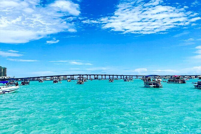 Destin Crab Island Tour in Catamaran - Key Points
