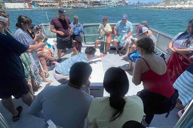 Destin Crab Island Tour in Catamaran - Frequently Asked Questions (FAQs)