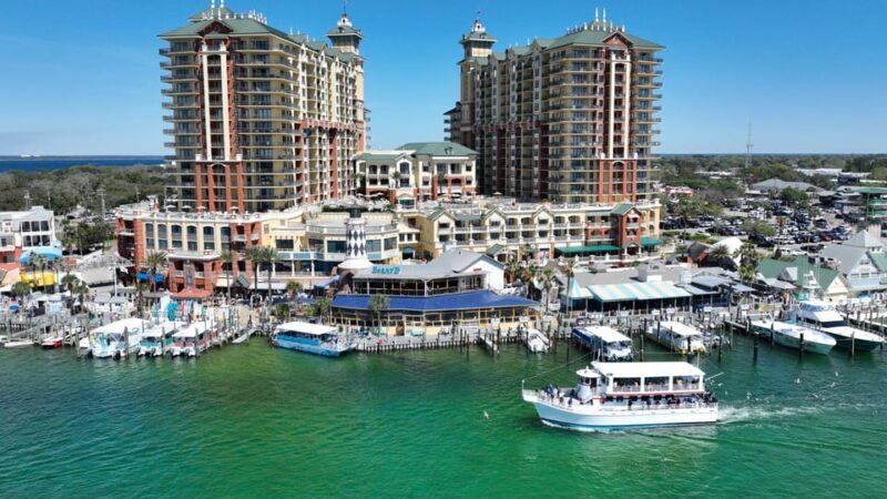 Destin: Dolphin Cruise aboard a Glass-Bottom Boat - An In-Depth Look at the Dolphin Cruise Experience