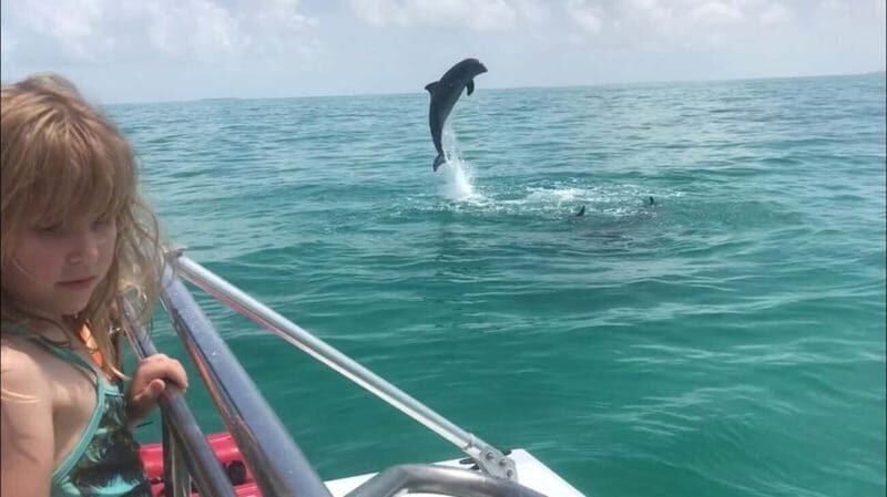 Destin: Dolphin Watching Cruise - FAQ