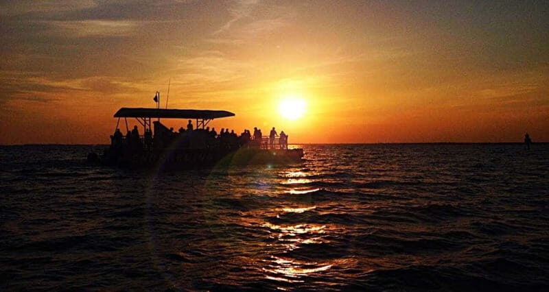 Destin: Dolphin Watching Cruise - The Itinerary and What to Expect
