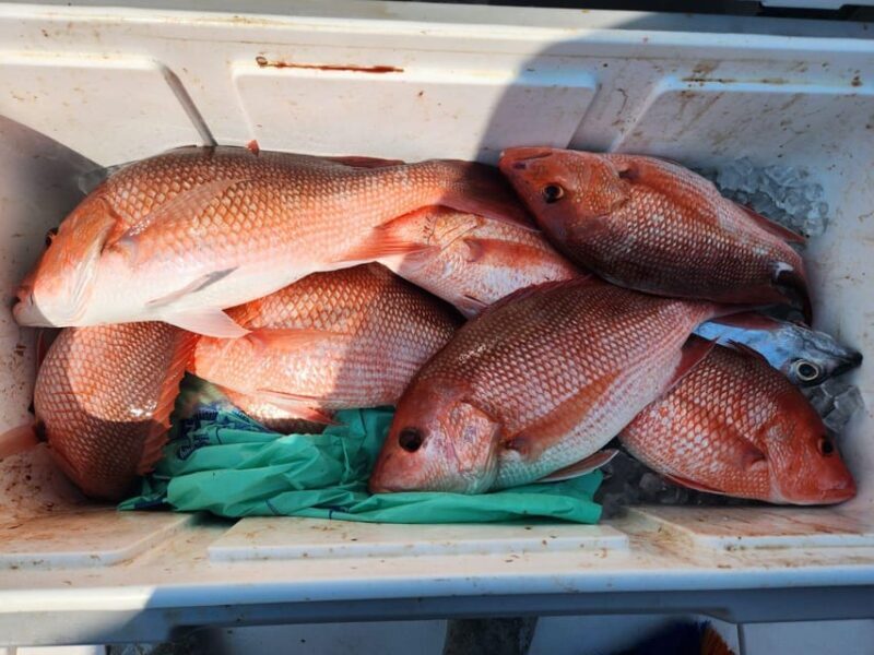 Destin: Fish and Fun Destin! - FAQ