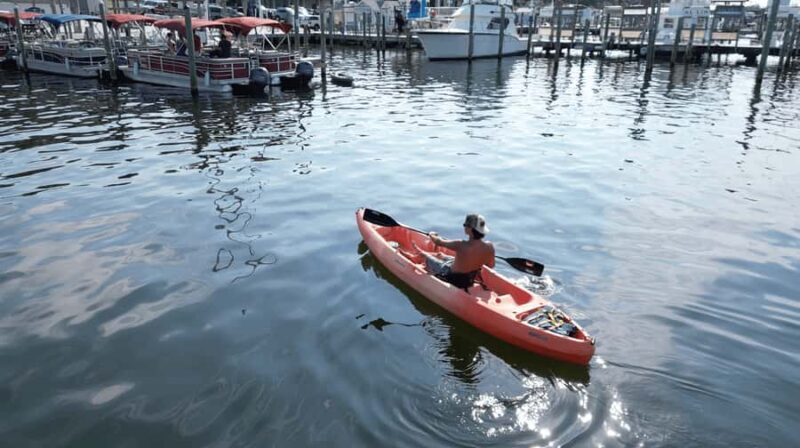 Destin Harbor Kayak Rental - The Value of the Experience