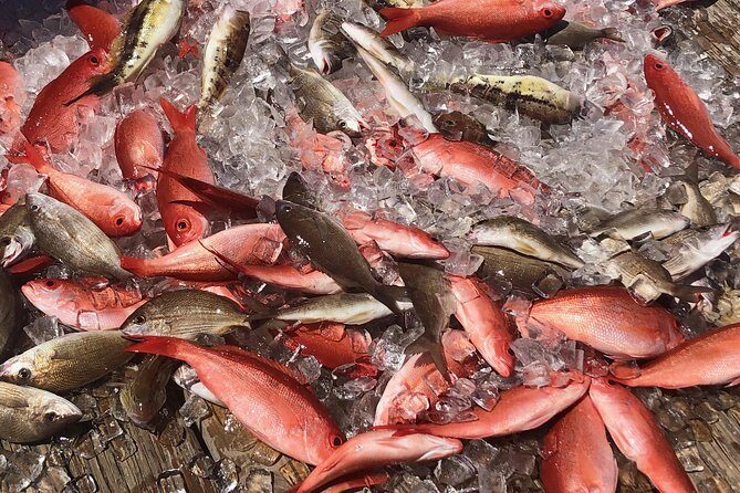 Destin: Party and Walk-On Fishing trip - Final Thoughts