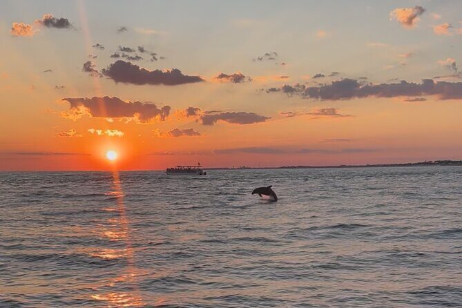 Destin Private Boat Tours Dolphin Crab Island Snorkel Sunset - An In-Depth Look at the Destin Private Boat Experience