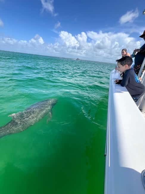 Destin: Private Morning Dolphin Cruise - Key Points