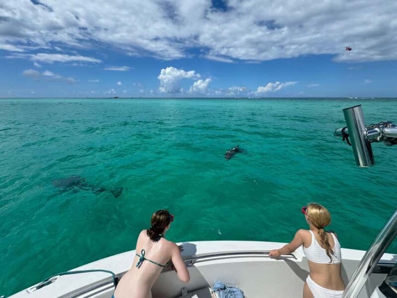 Destin: Private Morning Dolphin Cruise - FAQ