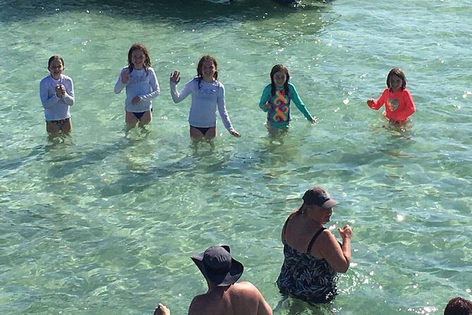 Destin: Private Snorkel/Shelling/Eco Excursion for Up to 28 - The Practical Side: What’s Included and What to Expect