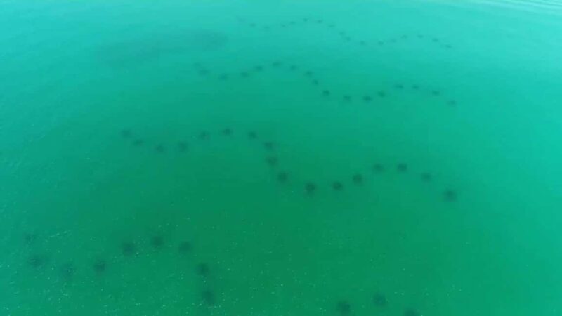 Destin: Reef Snorkeling Adventure - Final Thoughts