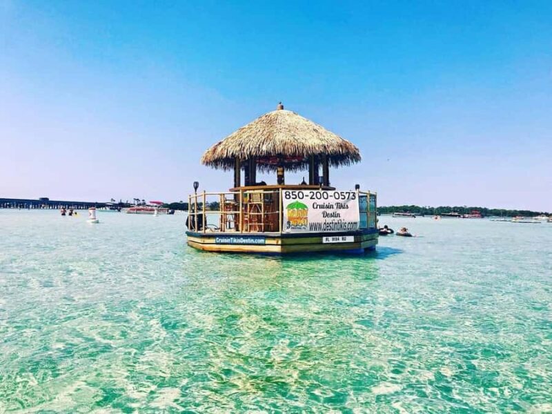 Destin: Shark Tooth and Sea Shell Scavenger Hunt Cruise - Final Thoughts: Who Will Love This Tour?