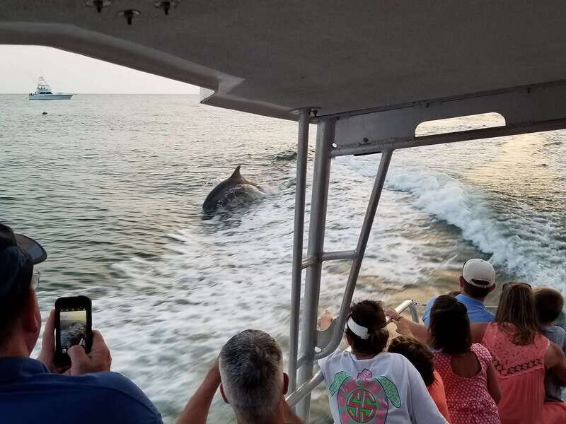 Destin: Snorkeling Cruise with 2 Stops and Dolphin Watching - Key Points