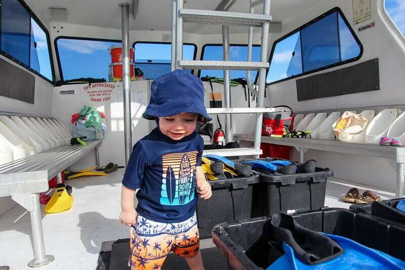 Destin: Snorkeling Cruise with 2 Stops and Dolphin Watching - Why This Snorkeling Cruise Is a Must-Do in Destin