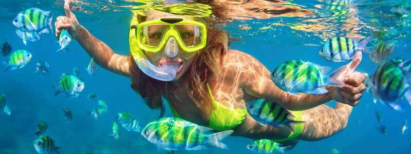 Destin: Snorkeling Cruise with 2 Stops and Dolphin Watching - Price, Value, and Practical Tips