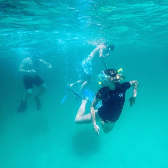 Destin: Snorkeling, Dolphins, and Crab Island - Destin: Snorkeling, Dolphins, and Crab Island — A Personalized Water Adventure
