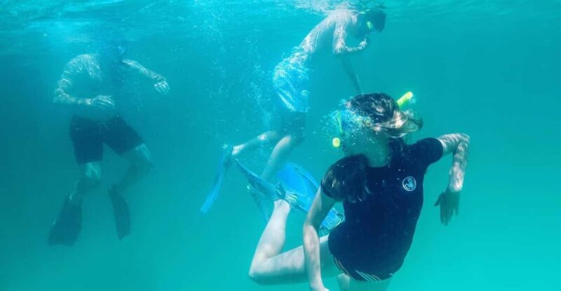 Destin: Snorkeling, Dolphins, and Crab Island - Key Points