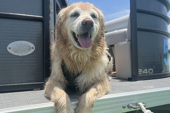 Destin X 12 Passenger Pontoon Rental Departing from Destin Harbor - Final Thoughts