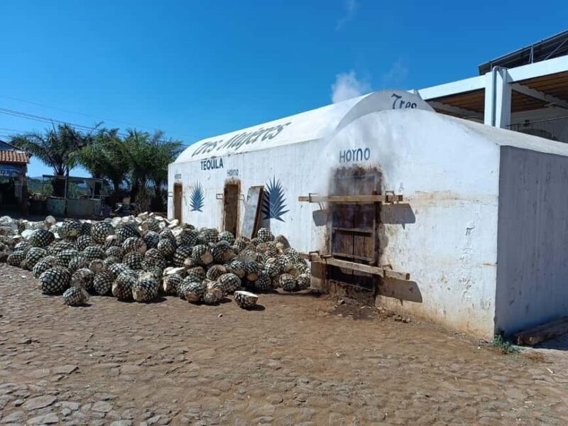 Destino Tequila: Experiencia Premier Privada - A Balanced Look: Pros and Cons