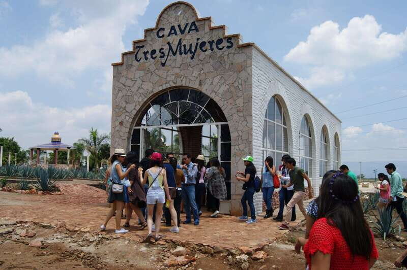 Destino Tequila: Experiencia Premier Privada - Who Should Consider This Tour?