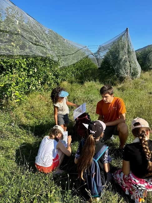 Detective Club: a nature investigation game for the whole family! - An In-Depth Look at the Detective Club Experience