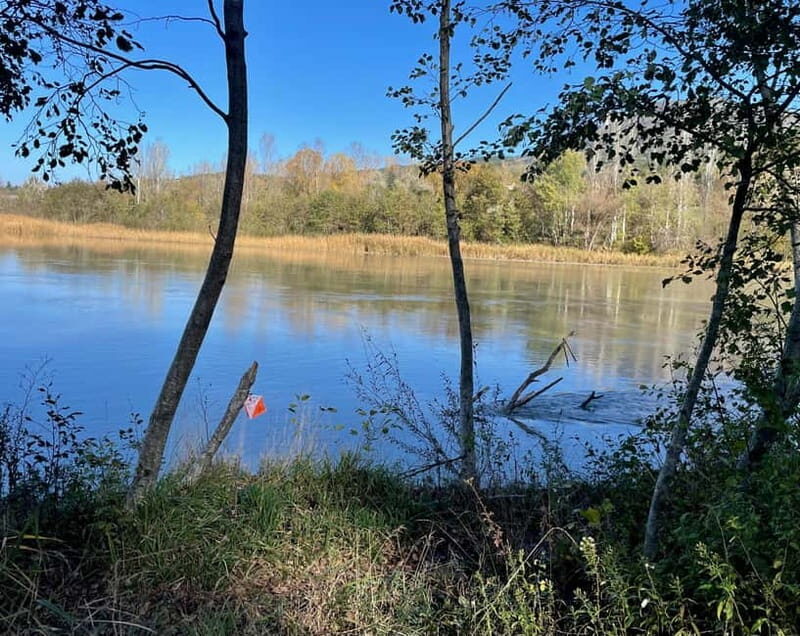 Detective Club: a nature investigation game for the whole family! - The Value of a Nature Investigation