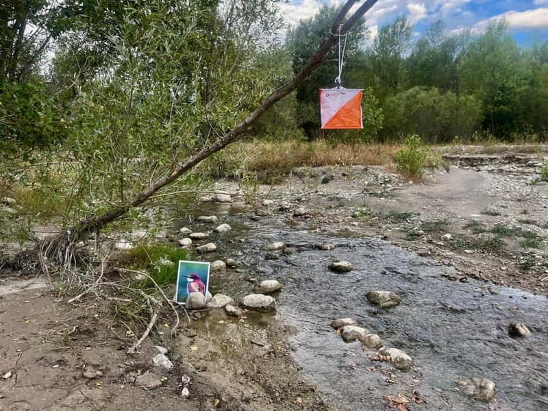 Detective Club: a nature investigation game for the whole family! - FAQ