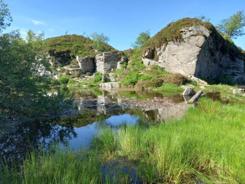 Devon: Dartmoor National Park Guided Tour - Key Points