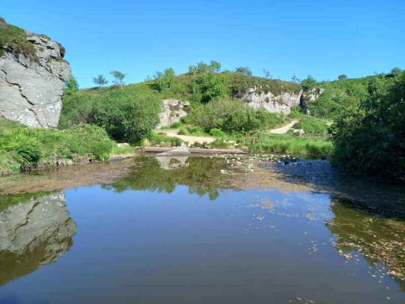 Devon: Dartmoor National Park Guided Tour - Why This Tour Is a Great Choice