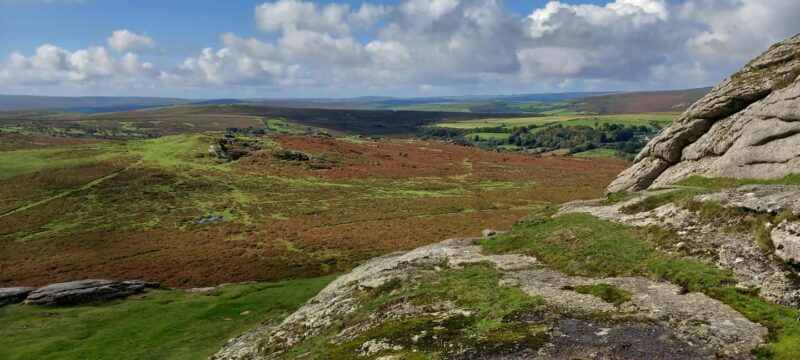 Devon: Dartmoor National Park Guided Tour - FAQ