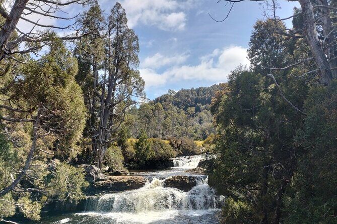 Devonport Cradle Mt Sightseeing tour - An In-Depth Review of the Devonport Cradle Mountain Experience