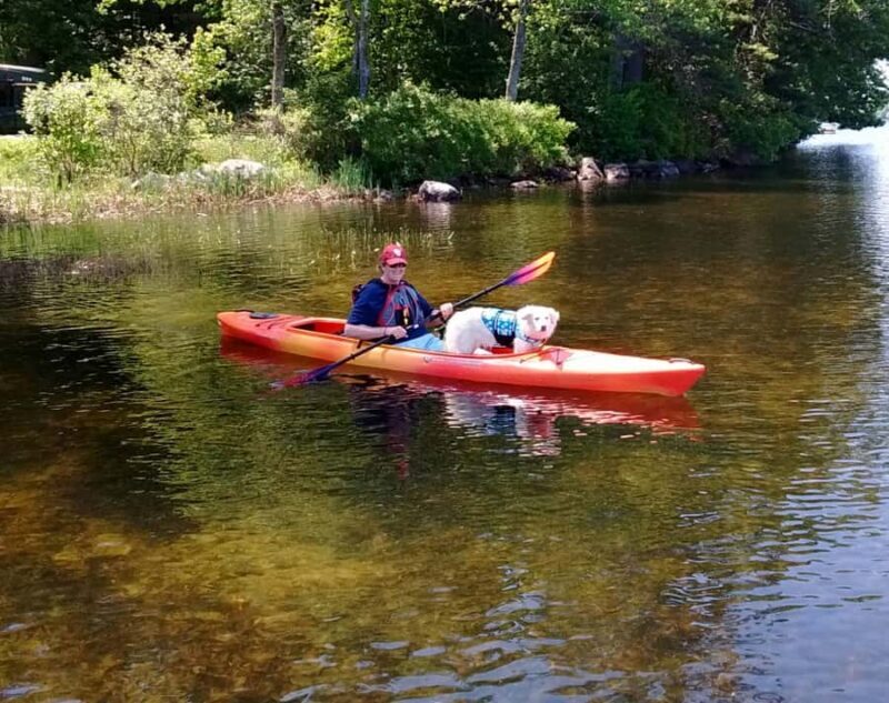 Dewey Beach: 2 HR Kayak Rental Rehoboth Bay - Value and Cost Analysis