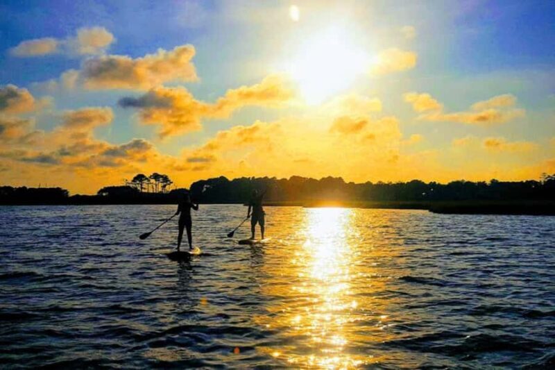 Dewey Beach: Paddleboard Rental - The Value of a Self-Guided Paddleboard Rental