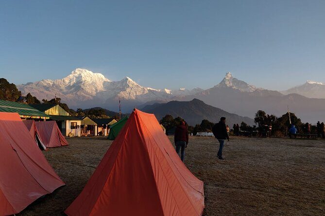 Dhampus Day Hiking from Pokhara - Authentic Experiences and Practical Tips