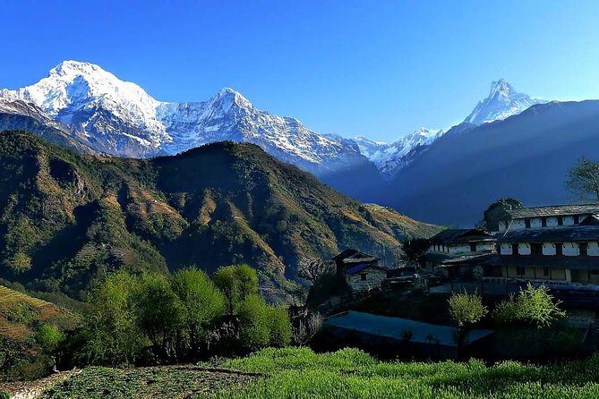 Dhampus trek - The Complete Dhampus Trek Experience