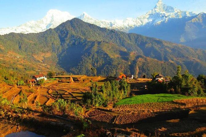 Dhampus Trek from Pokhara - Why Choose the Dhampus Trek?