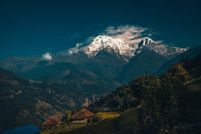 Dhampus Trek from Pokhara - Authentic Insights from Reviewers