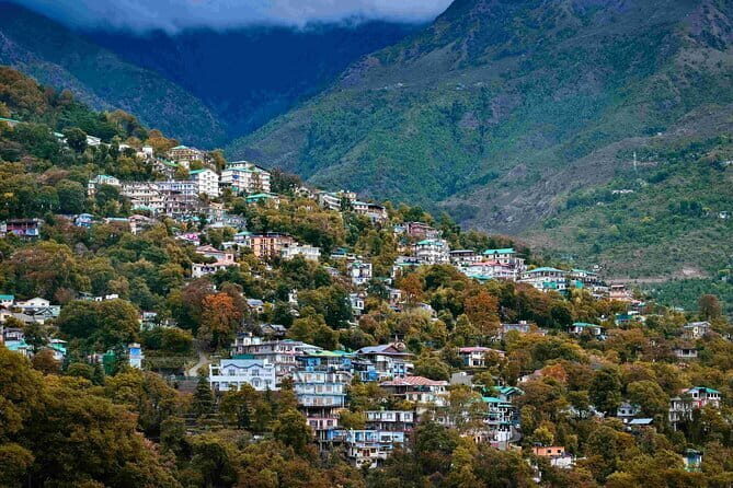 Dharamshala Half Day Sightseeing Tour - A Detailed Look at the Dharamshala Half Day Sightseeing Tour