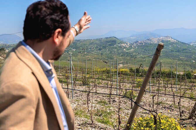 Di Giovanna Winery Tour & 5 Wine Tasting - Di Giovanna Winery Tour & 5 Wine Tasting: An Authentic Sicilian Experience