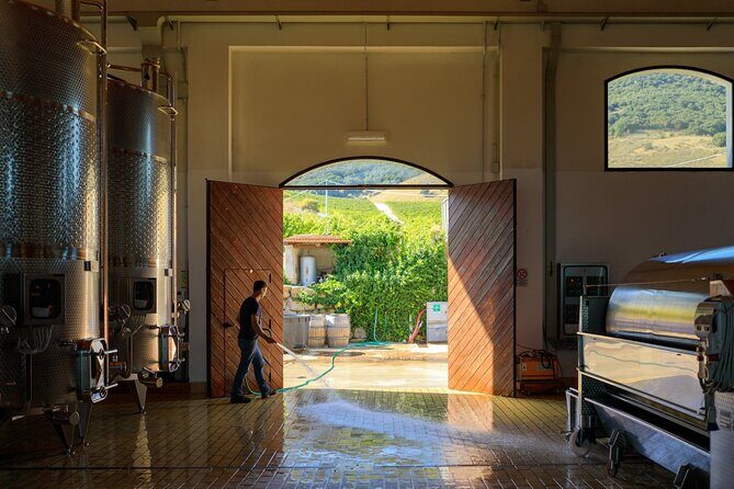 Di Giovanna Winery Tour & 5 Wine Tasting - Final Thoughts: Who Will Love This Tour?