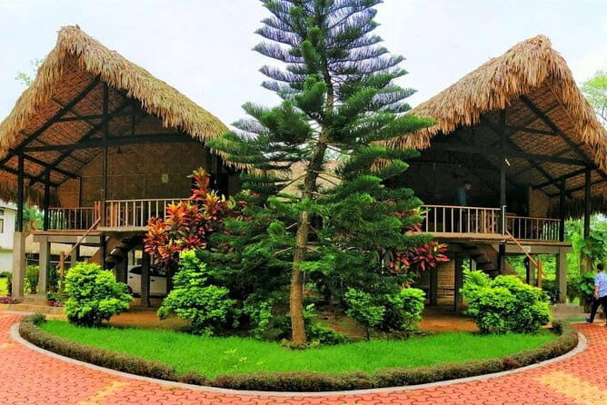 Dibrugarh Tea Tour, Singpho village with lunch, Digboi oil museum - Practical Details and What to Expect