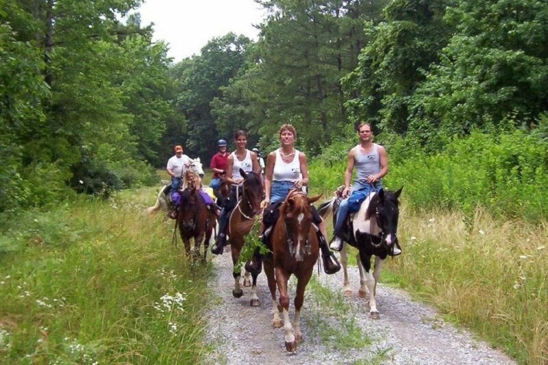 Didim Horse Safari - The Sum Up: Who Will Love the Didim Horse Safari?