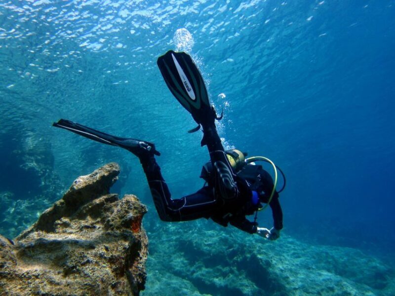 Didim: Scuba Diving Experience w/Hotel Pickup & Lunch - Who Would Love This Experience?