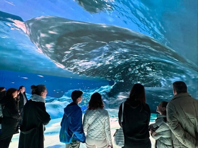 Digital Experience Museum Skip-the-Line Entry - The Immersive Rooms: A Closer Look