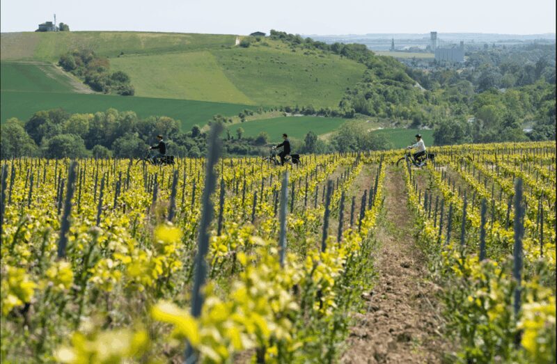 Dijon/Beaune: Full day Ebike Burgundy tour, tastings & lunch - An Introduction to the Burgundy Experience