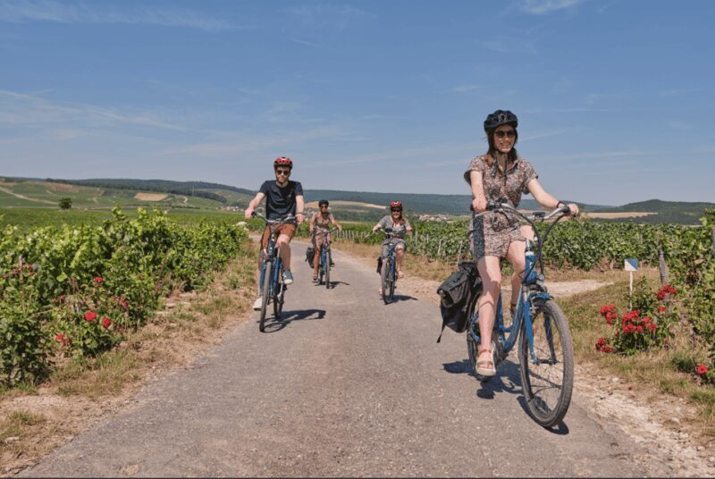 Dijon/Beaune: Full day Ebike Burgundy tour, tastings & lunch - Who Will Love This Tour?