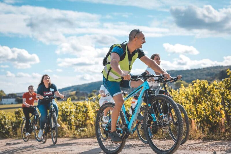 Dijon: Bike tour and Tastings in the Vineyards of Burgundy - Key Points