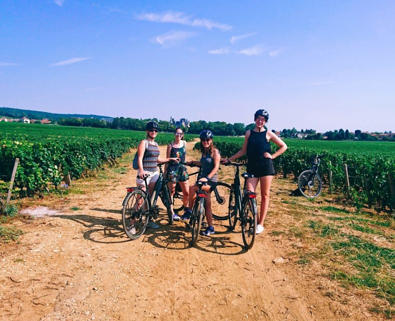 Dijon: Bike tour and Tastings in the Vineyards of Burgundy - What to Expect from the Burgundy Vineyard Bike Tour