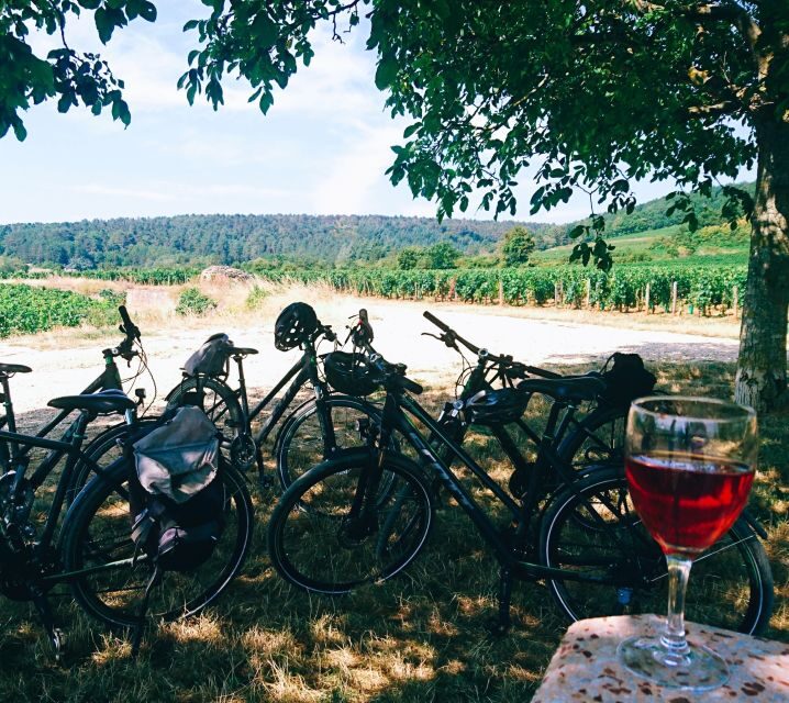 Dijon: Bike tour and Tastings in the Vineyards of Burgundy - Authentic Feedback from Participants