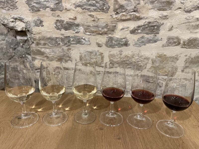 Dijon: Cheese and Burgundy Wine Tasting Workshop - An In-Depth Look at the Experience