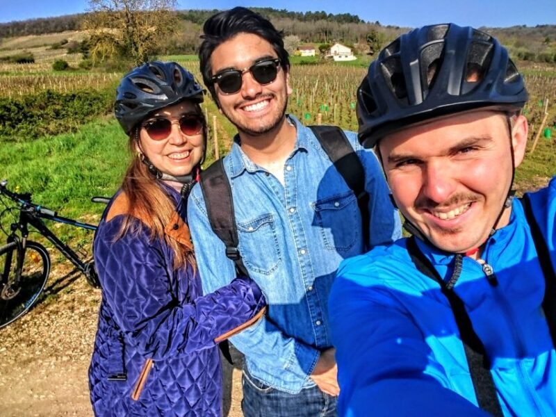 Dijon: Half-Day Guided Gourmet Bike Tour - The Sum Up